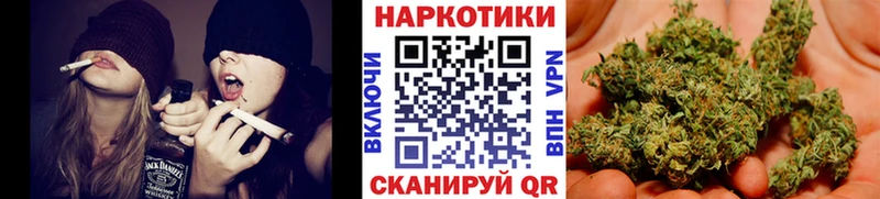 Где купить наркотики Александровское Бошки Шишки  МЕФ  Героин  Гашиш  OMG зеркало  COCAIN 