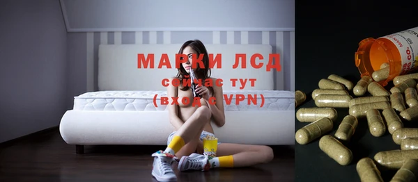 хмурый Алексеевка