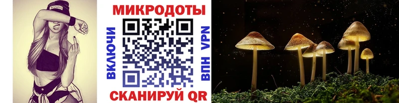 Галлюциногенные грибы мицелий Александровское